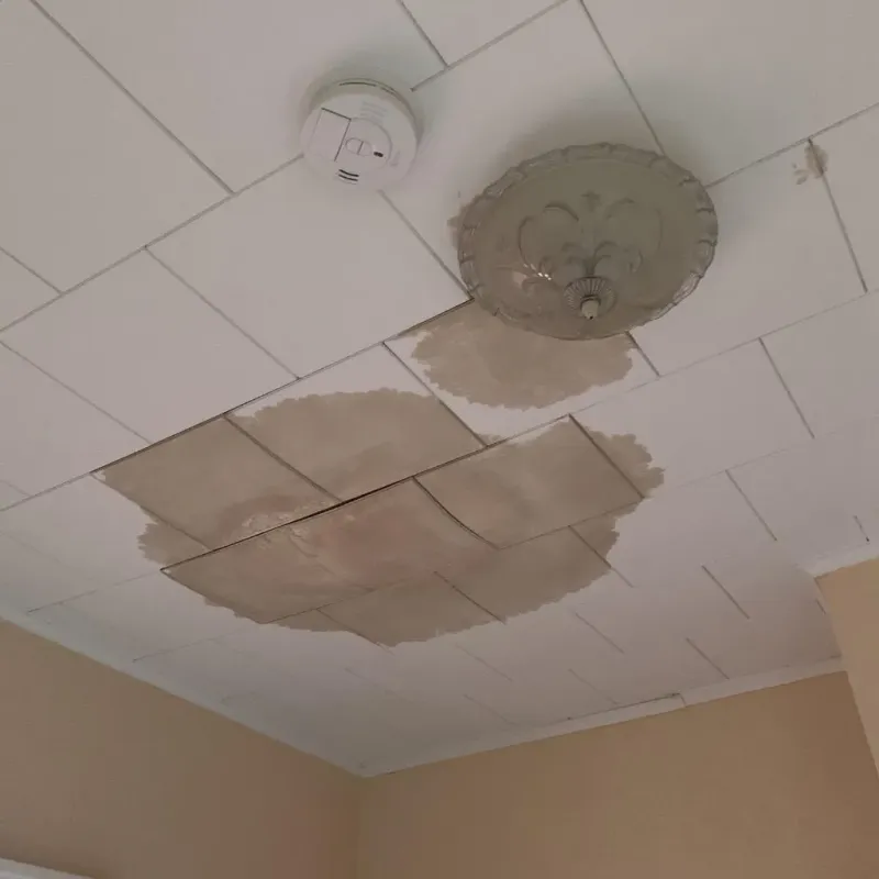 Ceiling Water Damage Repair in Troy, NC