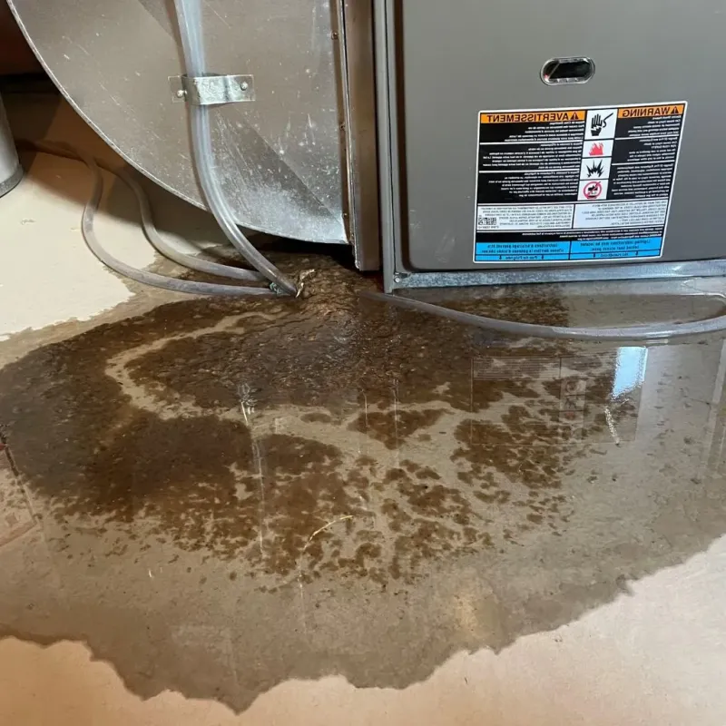 Pipe Burst and Leak Restoration in Troy, NC