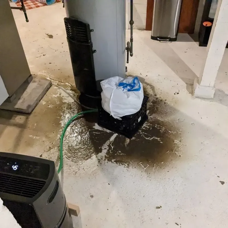 Sewage Backup Cleanup Service in Troy, NC